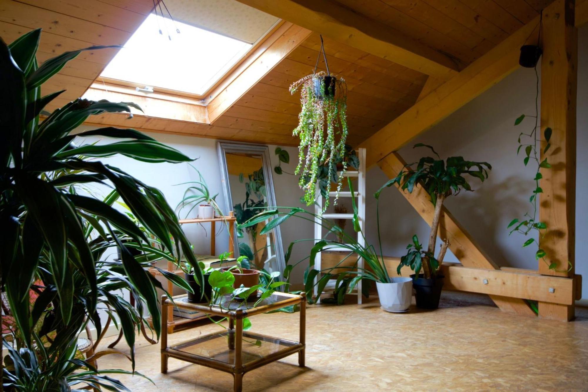 Loft Haut De Gamme Entre Verdure Et Ville Chaudefontaine  Eksteriør billede